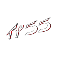logo team performance55